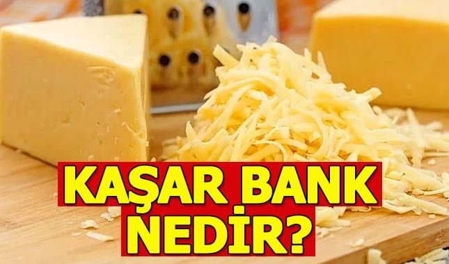 Kaşar bank nedir nasıl çalışıyor sahibi kim?