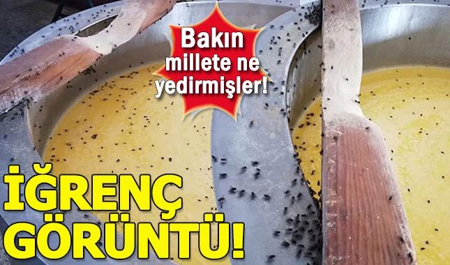 Kaşar peynir imalathanesinde mide bulandıran görüntü!