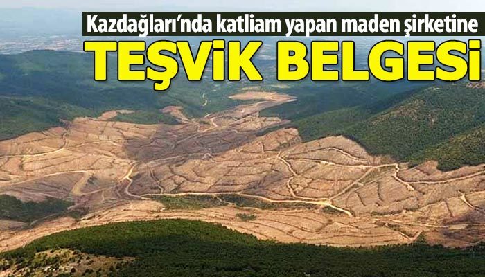 Kazdağları'nda ağaç katliamı yapan maden şirketine teşvik belgesi