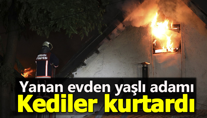 Kediler yaşlı adamı yangından kurtardı