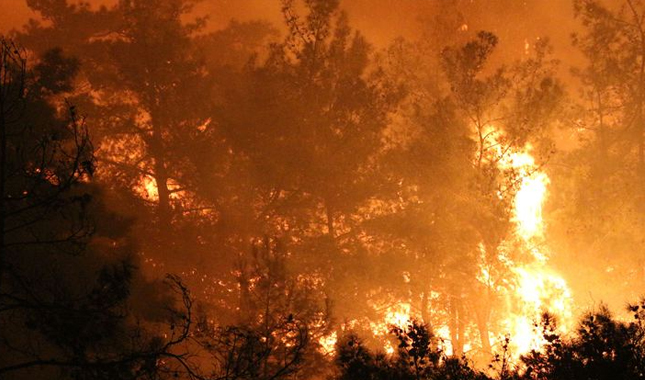 Kemer'de korkutan orman yangını