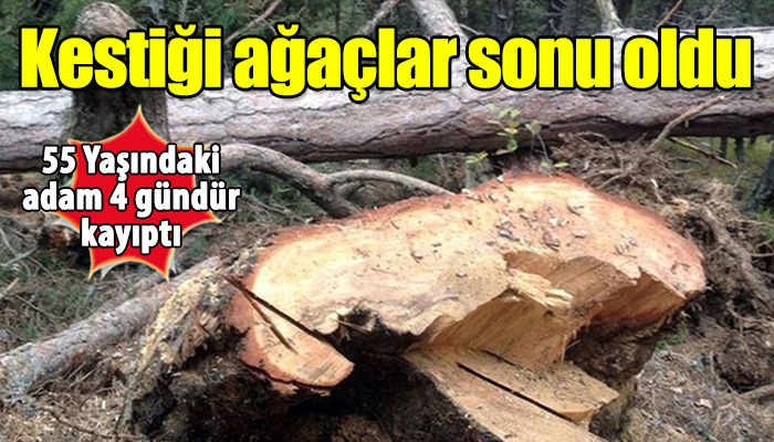 Kestiği ağaçlar 55 yaşındaki adamın sonu oldu