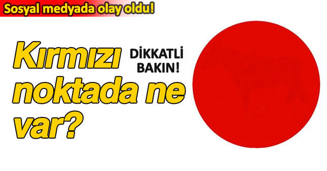 Kırmızı noktada ne var cevabı sosyal medyayı salladı!