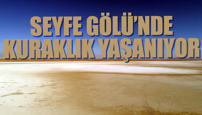 Kırşehir'deki Seyfe Gölü kuraklığı yaşıyor