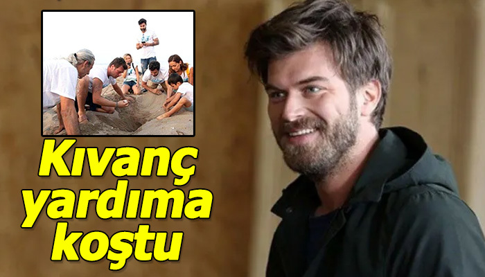 Kıvanç Tatlıtuğ ve ünlü oyuncuların yavru caretta carettalara yardım etmesi