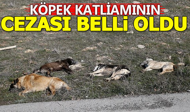 Köpek katillerine 5 yıl 4'er ay hapis isteniyor
