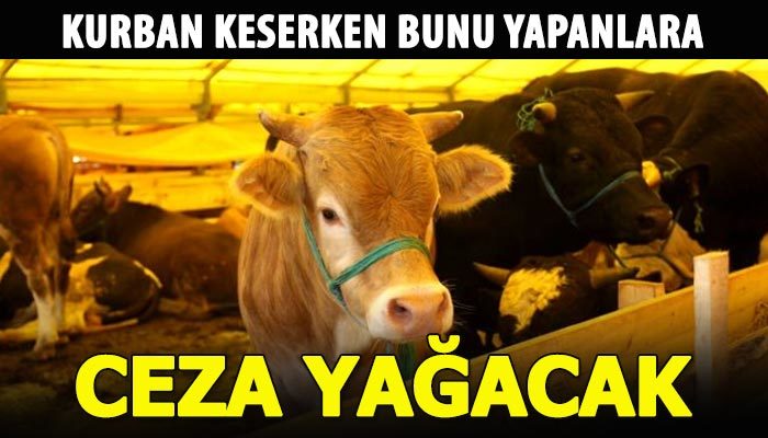 Kurban kesme kurallarına uymayanlara ceza yağacak