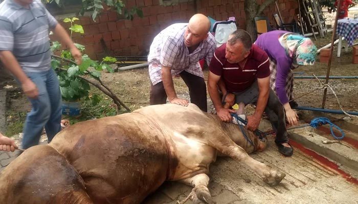 Kurbanda vekalet nasıl verilir? Kurban keserken vekalet nasıl alınır? Vekalet vermeden kurban kesilir mi?