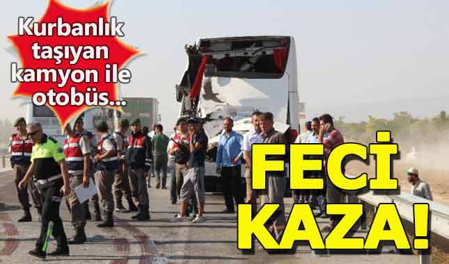Kurbanlık taşıyan kamyon yolcu otobüsüne çarptı