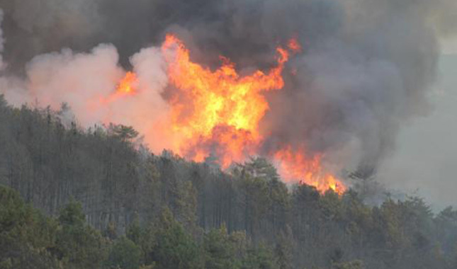 Kütahya'daki orman yangınına müdahale sürüyor