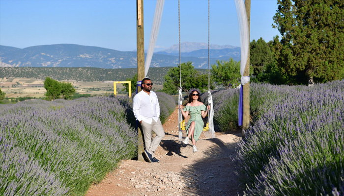Lavanta tarlalarına turist akını