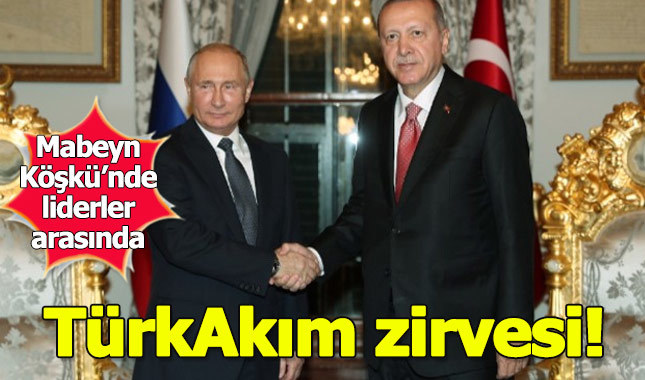 Mabeyn Köşkü'nde Erdoğan ve Putin bir araya geldi