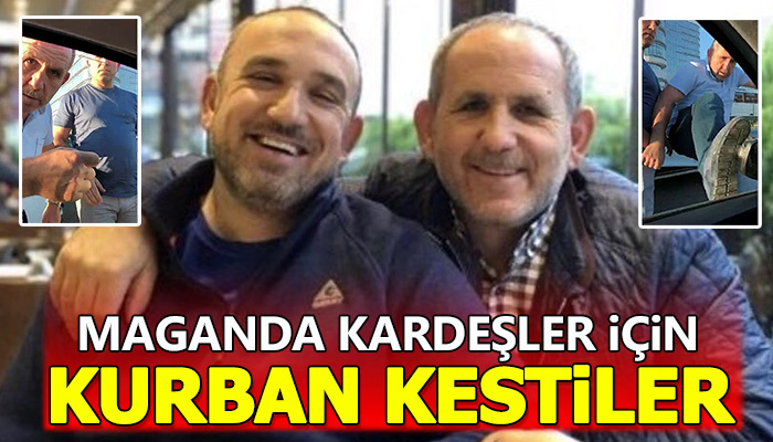 Maganda kardeşler için kurban kesildi