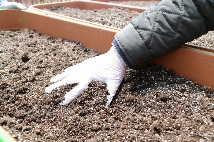 Mamak Belediyesi 100'den Fazla Ata tohumunu toprakla buluşturdu