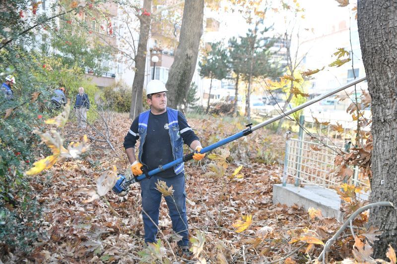 Mamak'ta Sonbahar Budama Çalışmaları Sürüyor