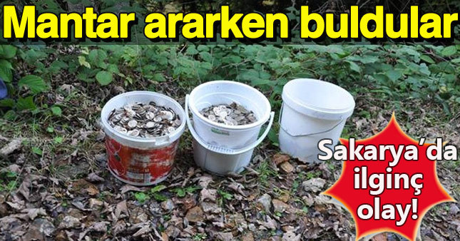 Mantar toplamaya giden köylüler 3 kova dolusu para buldu
