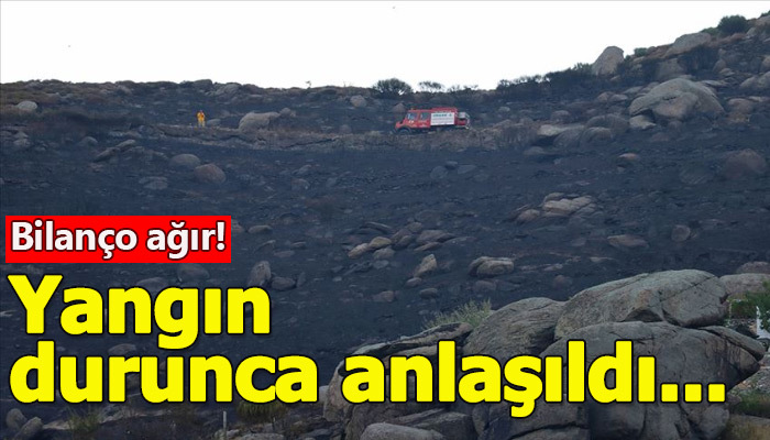 Marmara Adası'ndaki yangının boyutu gün ağarınca anlaşıldı