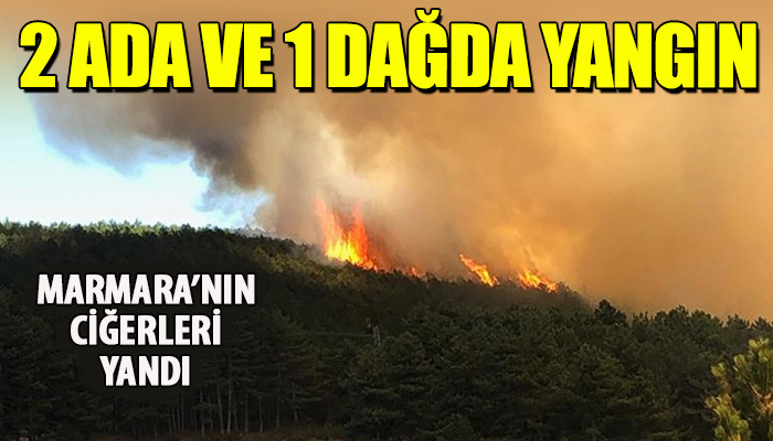 Marmara'nın ciğerleri yanıyor