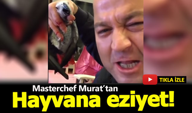 Masterchef Murat papağana yaptığı eziyetle kan dondurdu