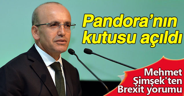 Mehmet Şimşek: Pandora'nın Kutusu çoktan açıldı