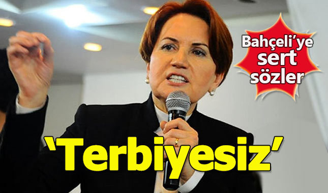 Meral Akşener'den Devlet Bahçeli'ye sert sözler