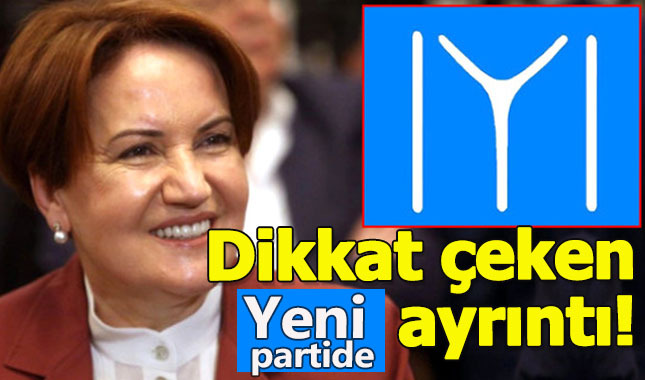 Meral Akşener'in yeni partisi 'İYİ'de kayı boyu detayı