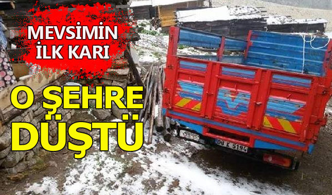 Mevsimin ilk karı Artvin'e düştü