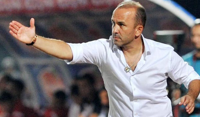 Milli Takım'da Mehmet Özdilek dönemi