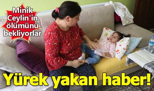 Milyonda bir görünen hastalıkla boğuşuyor (Molibden kofaktör eksikliği nedir?)