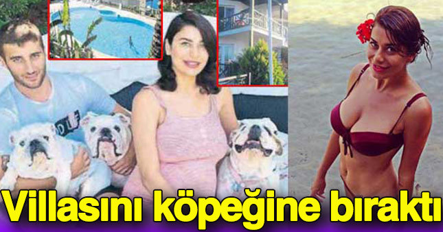 Milyonluk villasını köpeklerine bıraktı