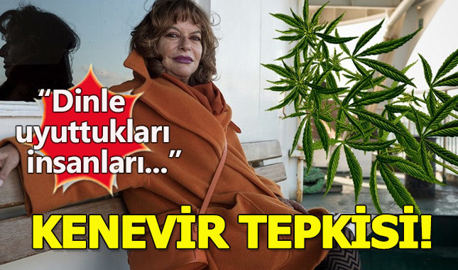 Mine Kırıkkanat kimdir, kaç yaşında, nereli, Kenevir hakkında ne dedi?