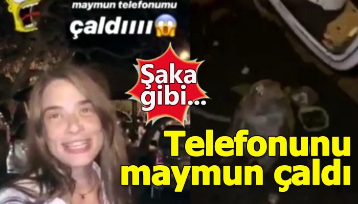 Müge Boz'un telefonunu maymunun çalması