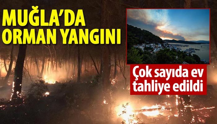 Muğla Dalaman'da orman yangını