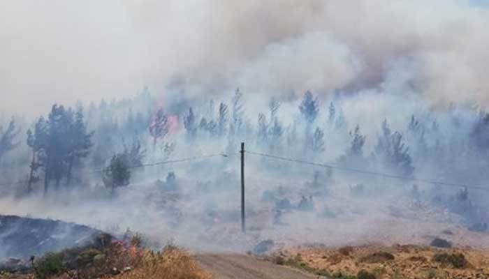 Muğla ve Mersin'de orman yangını