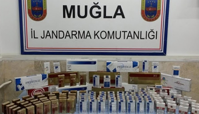 Muğla'da kaçak sigara operasyonu