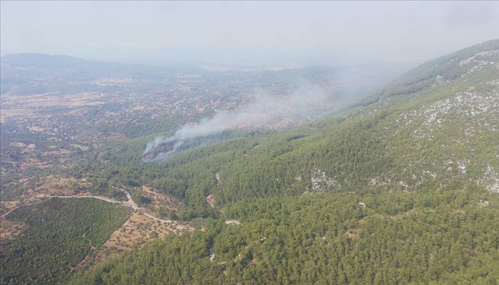 Muğla'da orman yangını çıktı