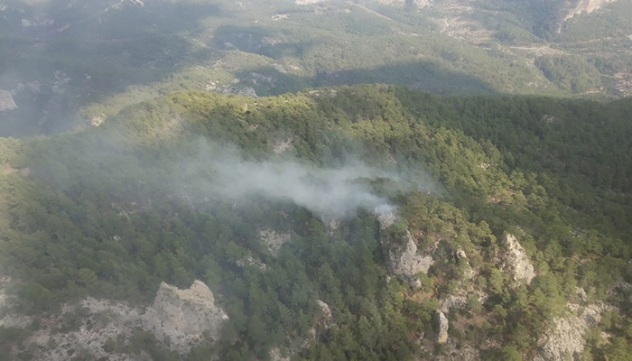 Muğla'da yıldırım sonucu orman yangını 