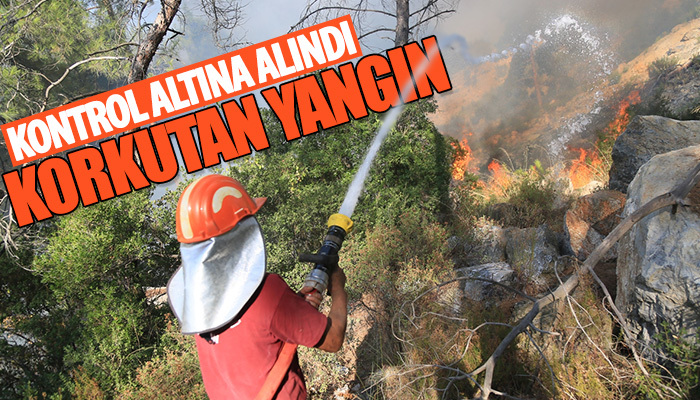 Muğla'daki korkutan yangın kontrol altına alındı!