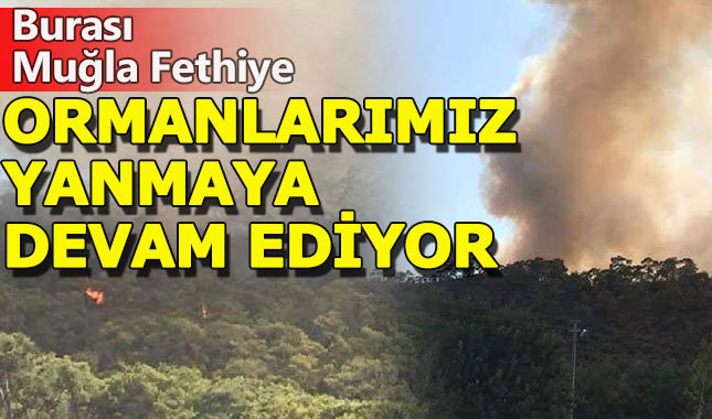 Muğla'nın Fethiye ilçesinde orman yangını