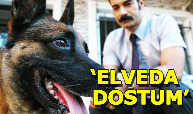 Murat Ünalmış'ın köpeğine TIR çarptı