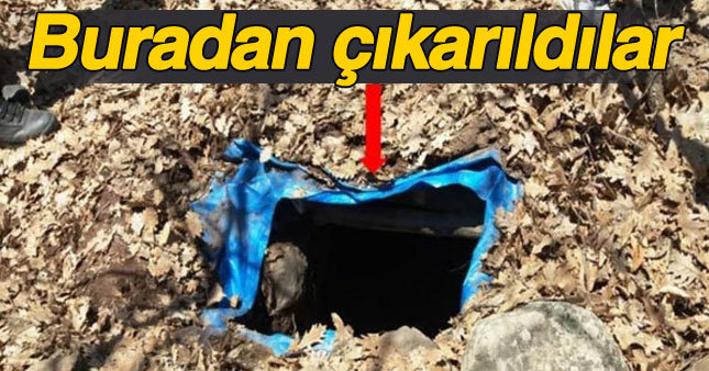 Muş'ta PKK'ya darbe