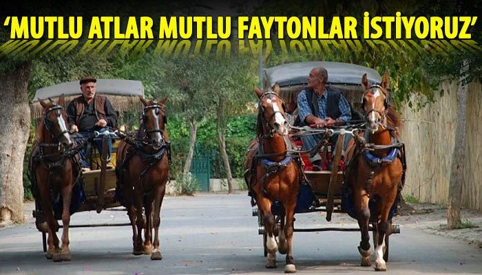 Mutlu atlar mutlu faytonlar istiyoruz