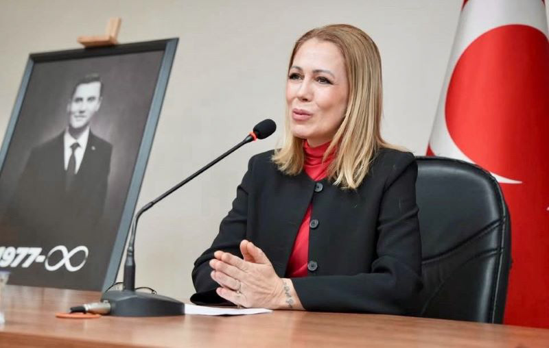 Nurcan Zeyrek, Darüşşafaka Yüksek Danışma Kurulu'nda