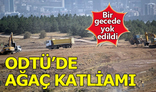 ODTÜ arazisinde yol yapımı için ağaçlar katledildi