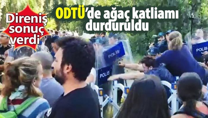 ODTÜ'de ağaç katliamı durduruldu