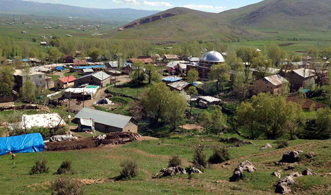 Okul bahçesine düşen ağaç, 1 öğretmenin hayatını kaybetmesine neden oldu