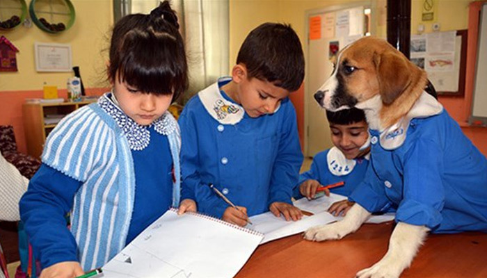Okullu Fındık tedavi gördüğü klinikte yaşamını yitirdi