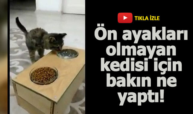 Ön ayakları olmayan kedisi için bakın ne yaptı!