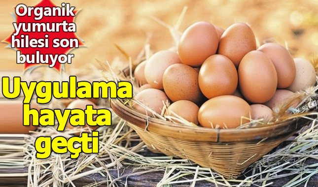 Organik yumurta sahtekarlığını bitirecek uygulama yürürlükte