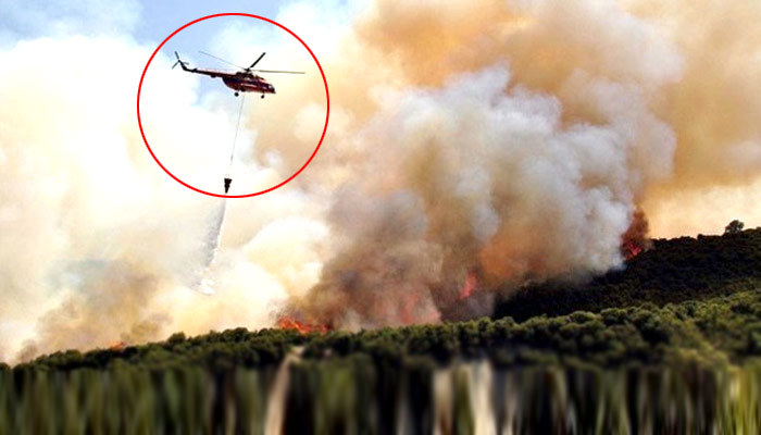 Orman Genel Müdürlüğü helikopter pilotu arıyor!